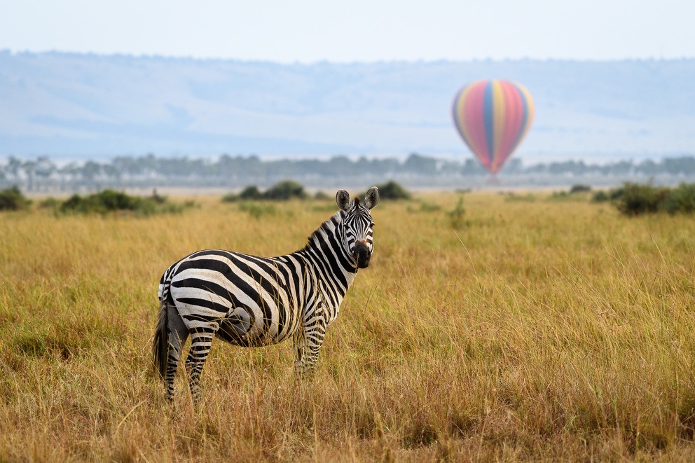 Hot Air Balloon Safari in Masai Mara-$400